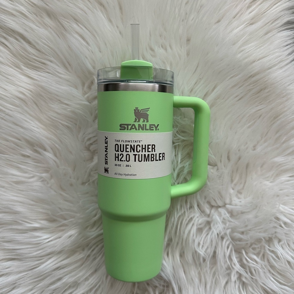 Stanley Feather Green 30oz Quencher Tumbler